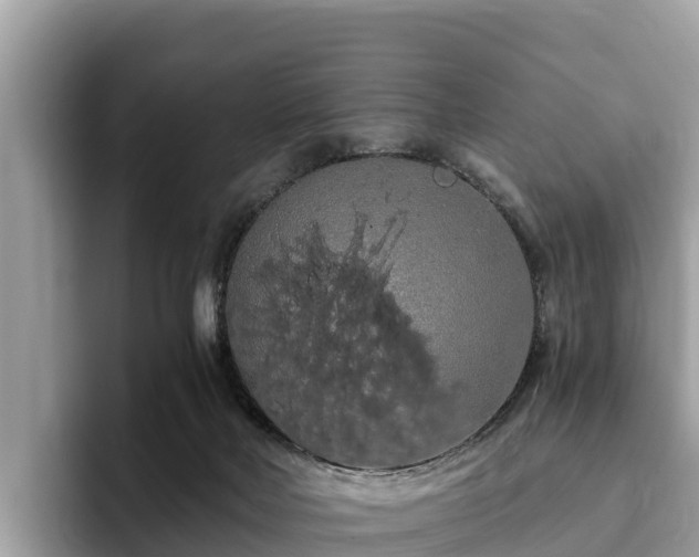 X0000093410026200710190954