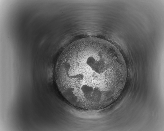 X0000093410032200710190954