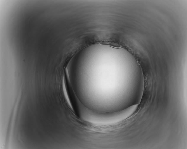 X0000093410033200710190954