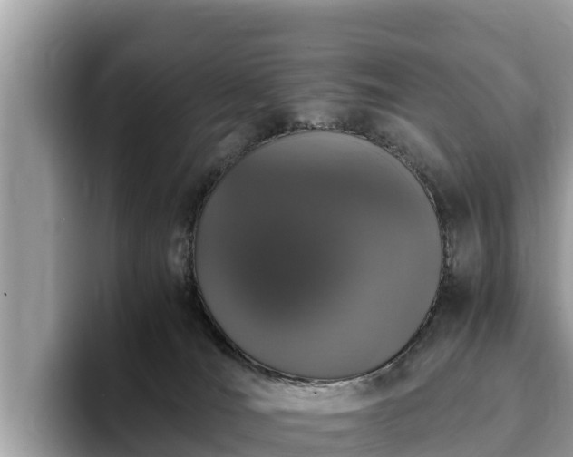 X0000093410036200710190954