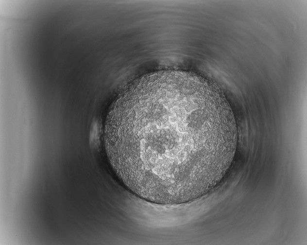 X0000093410038200710190954