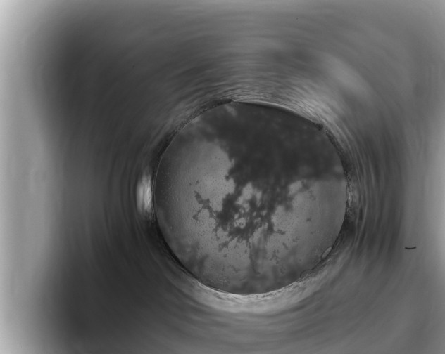 X0000093410046200710190954