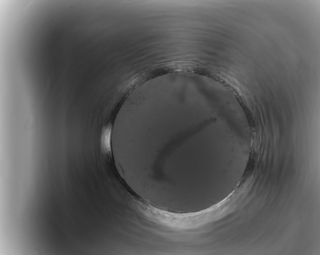 X0000093410047200710190954