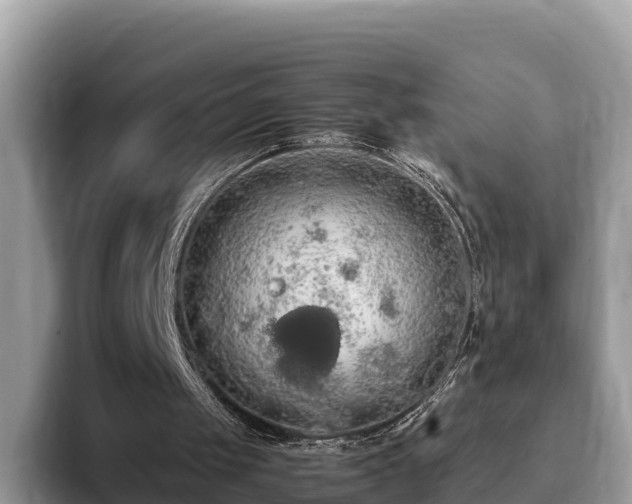 X0000093410049200710190953