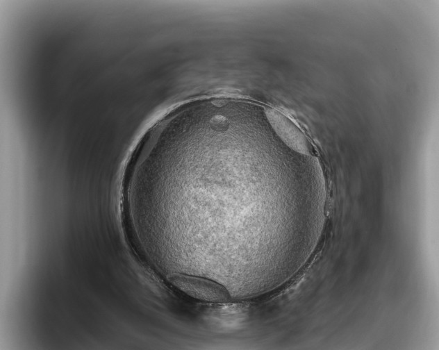 X0000093410056200710190953