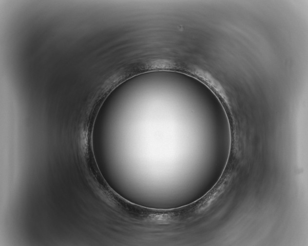 X0000093410057200710190953