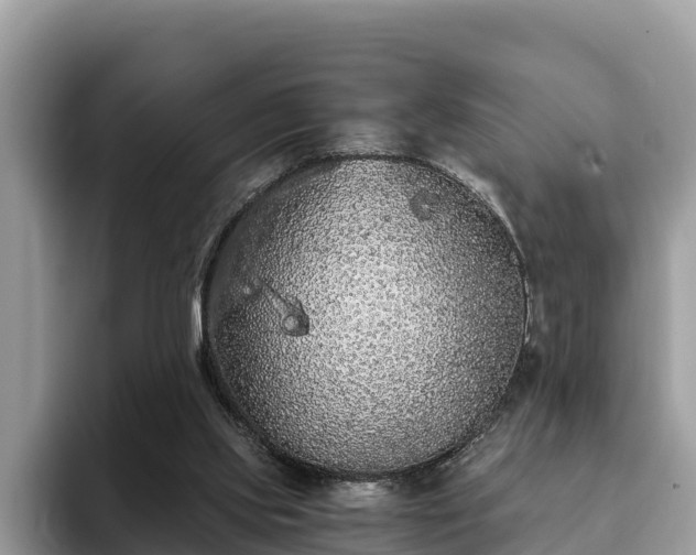 X0000093410061200710190953