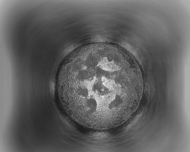 X0000093410063200710190953