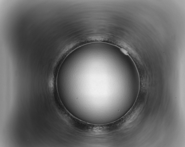 X0000093410064200710190953