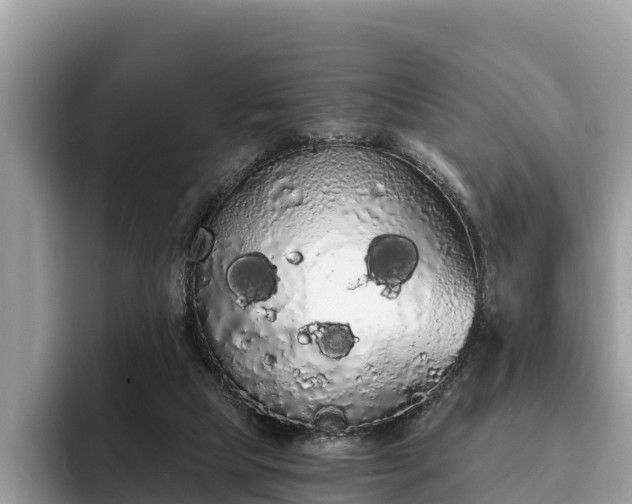 X0000093410065200710190953