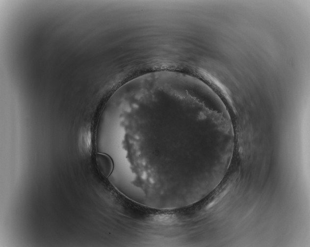 X0000093410067200710190953