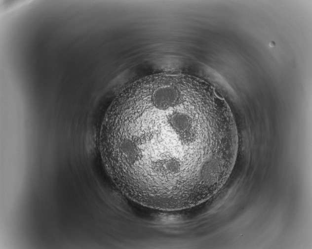 X0000093410073200710190953