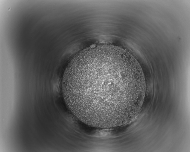 X0000093410078200710190953