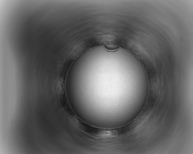 X0000093410083200710190954