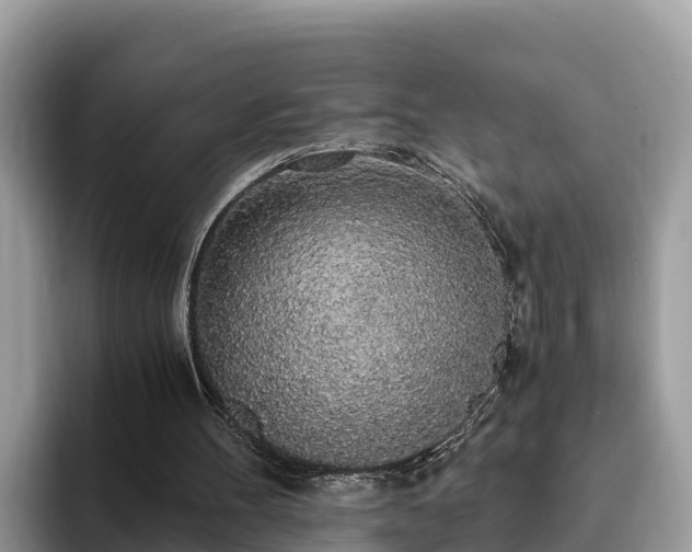 X0000093410100200710190953