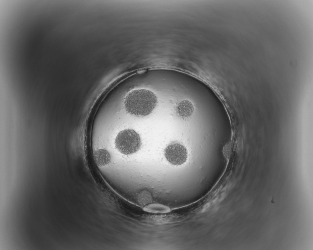 X0000093410103200710190953