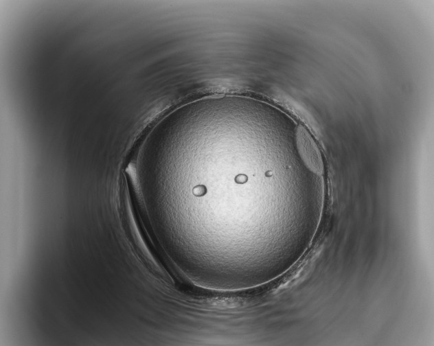 X0000093410105200710190953