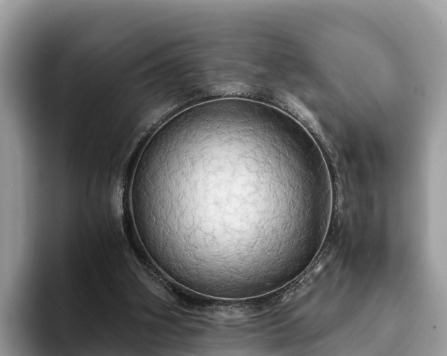 X0000093410106200710190953