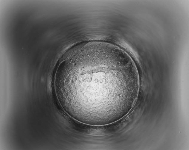 X0000093410107200710190953