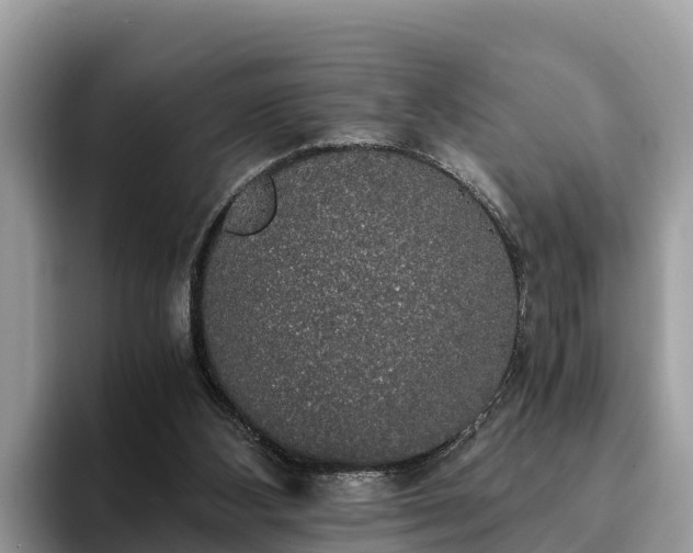 X0000093410108200710190953