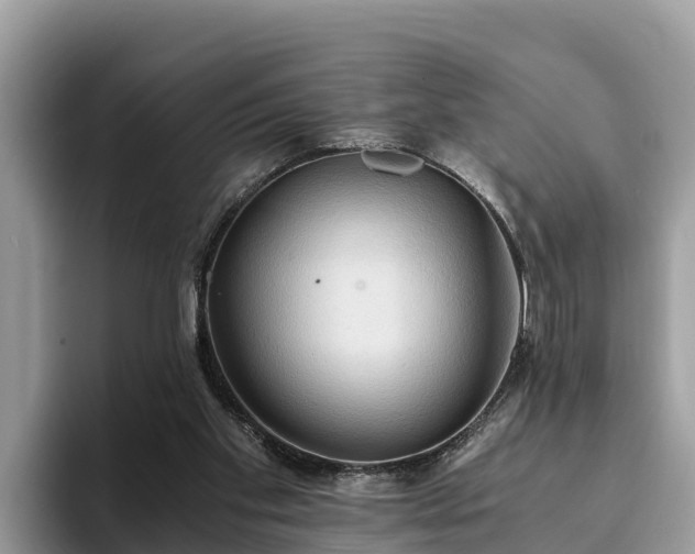 X0000093410109200710190953