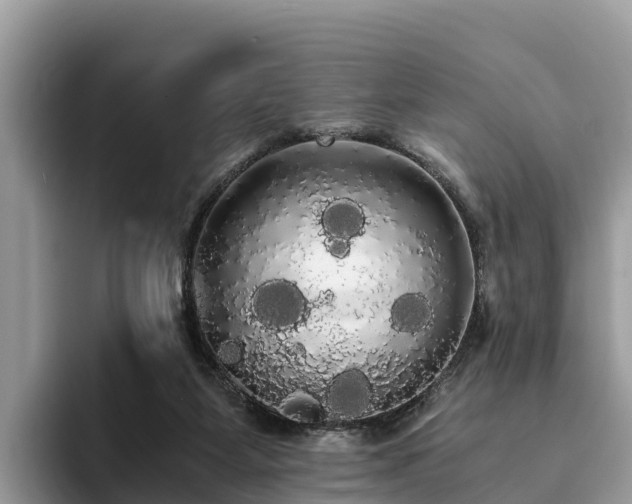 X0000093410115200710190953