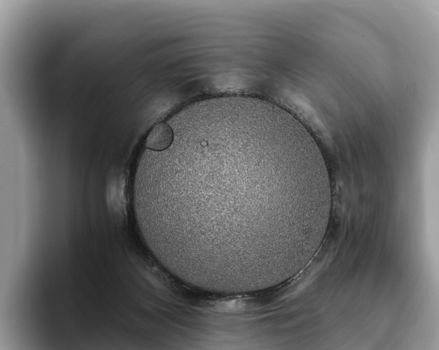 X0000093410116200710190953