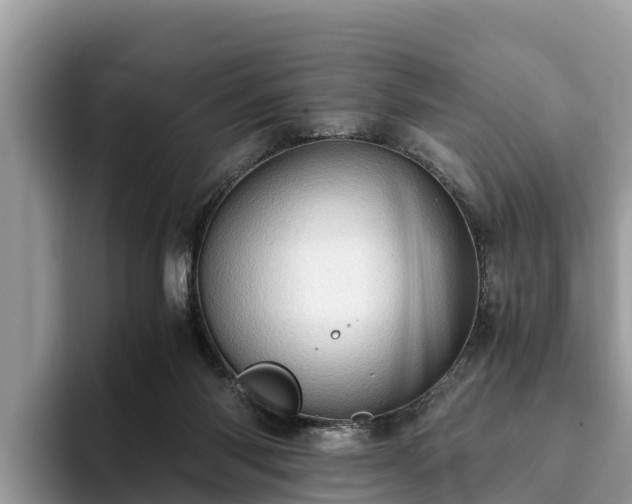 X0000093410118200710190953