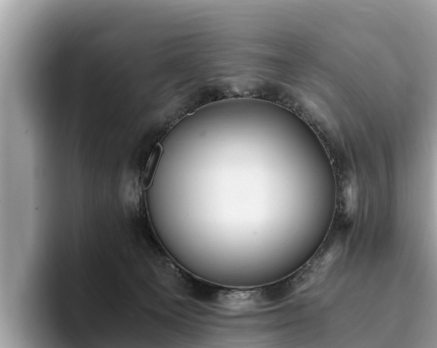 X0000093410129200710190953