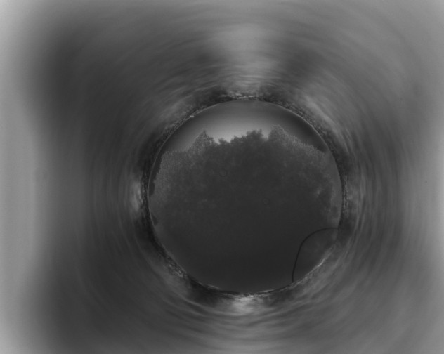 X0000093410130200710190953