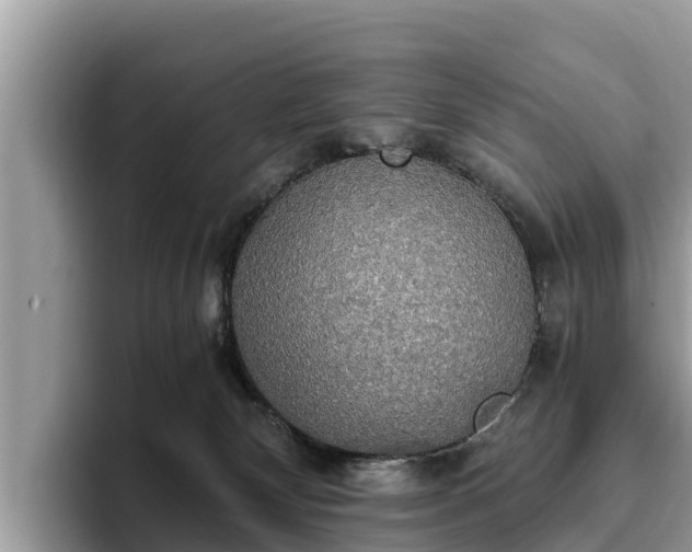 X0000093410132200710190953