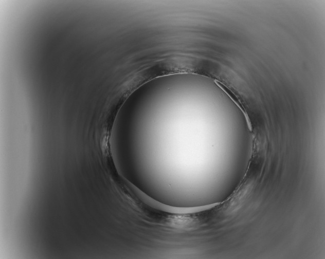 X0000093410141200710190952