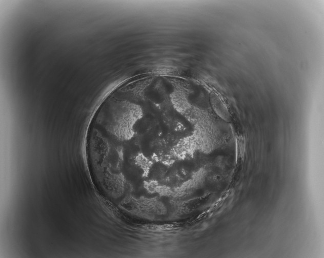 X0000093410147200710190952