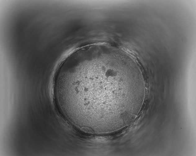 X0000093410149200710190952