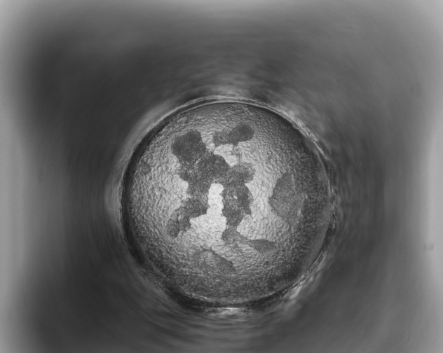 X0000093410151200710190952