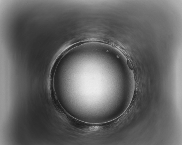 X0000093410152200710190952