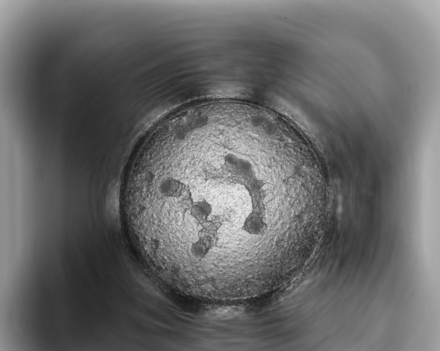 X0000093410155200710190952