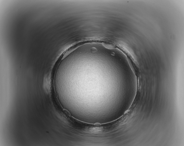 X0000093410156200710190952