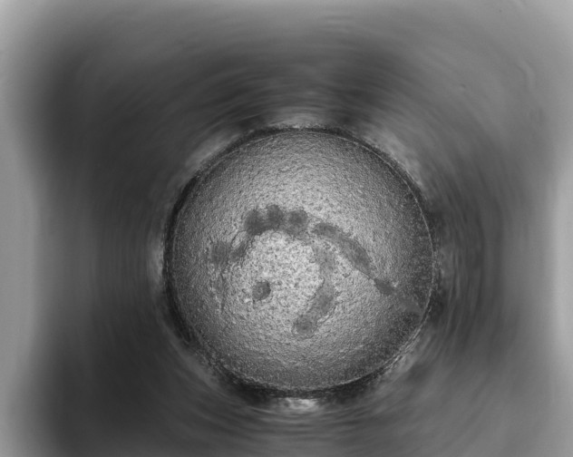 X0000093410159200710190952