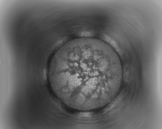 X0000093410161200710190952