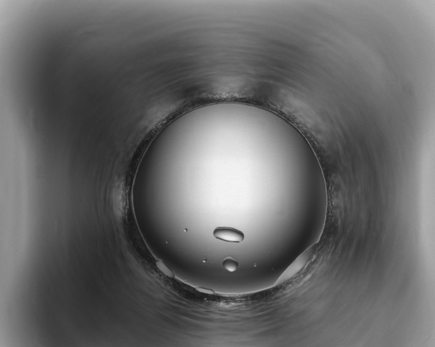 X0000093410164200710190952