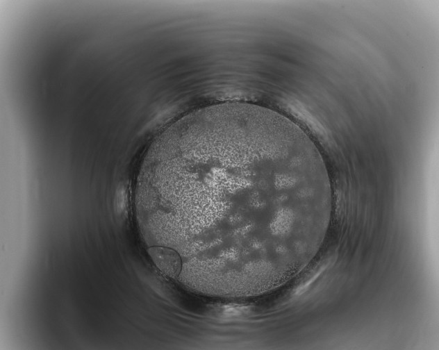 X0000093410165200710190952