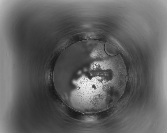 X0000093410169200710190952