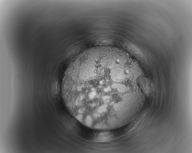 X0000093410173200710190952