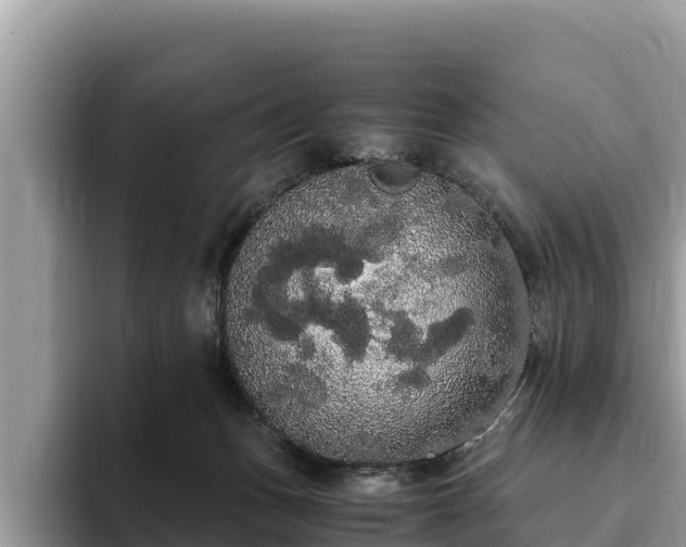 X0000093410175200710190952