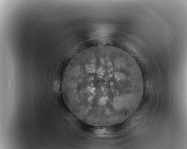 X0000093410177200710190952