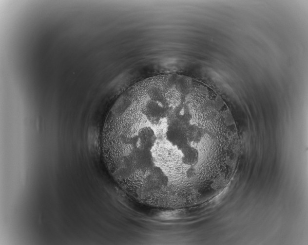 X0000093410178200710190952