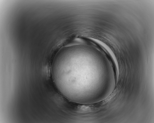 X0000093410180200710190952