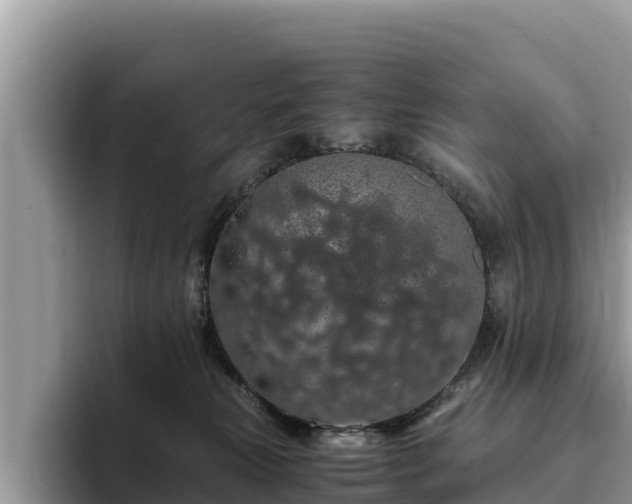 X0000093410181200710190952