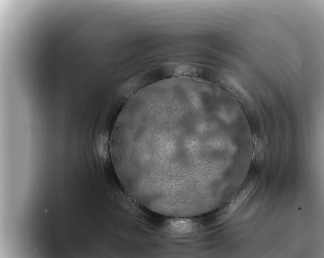 X0000093410189200710190952